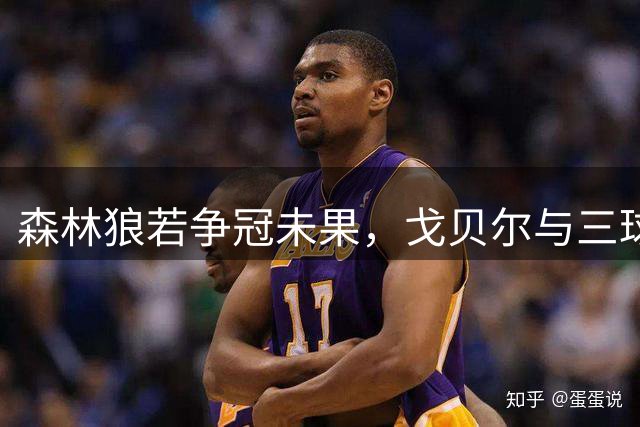 森林狼若争冠未果，戈贝尔与三球谁更可能离队？
